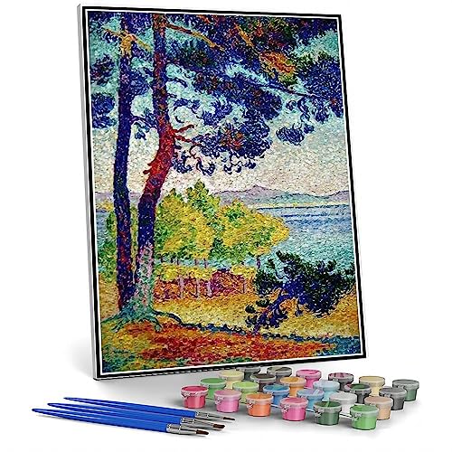 Malen nach Zahlen Kits für Erwachsene und Kinder Nachmittag bei Pardigon VAR Malen von Henri-Edmond Cross DIY Malen nach Zahlen Kits auf Leinwand von hhydzq