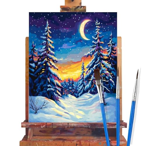 Malen Nach Zahlen Erwachsene Winter,Wald Malen Nach Zahlen DIY set Handgemalt Ölgemälde,Mit Pinseln und Acrylfarbe,Bastelset Erwachsene Frauen für Geschenke und Home Wand Dekor (Rahmenlos,30x40cm) B19 von huuyaofaa