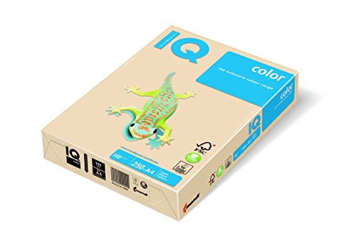 IQ 129969 Multifunktionspapier, A4, 160 g, cremefarben, 250 Blatt von iQ