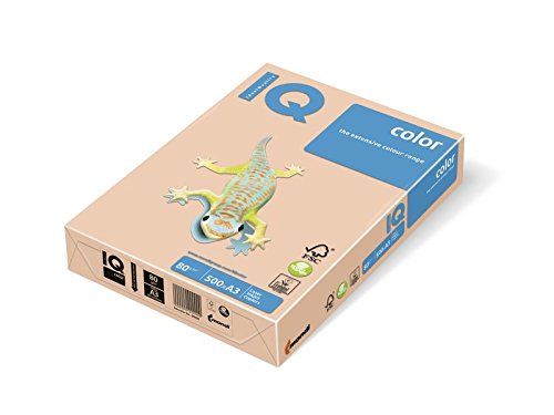 IQ 130080 Multifunktions-Pack von 500 Blatt Papier, A3, 80 g, Farbe lachs von iQ