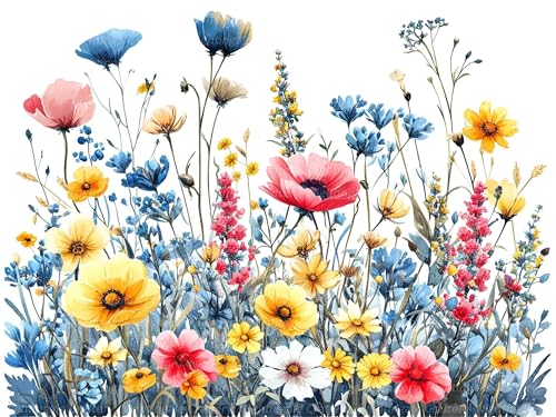 igoodom Blumen Malen Nach Zahlen Erwachsene Wildflowers Ölgemälde Kit für Anfänger und Erwachsene Colorful Blumen Paint by Numbers Mit Leinwand Pinsels Acrylfarbe für Geschenk Home Wall Deko(30x40cm) von igoodom