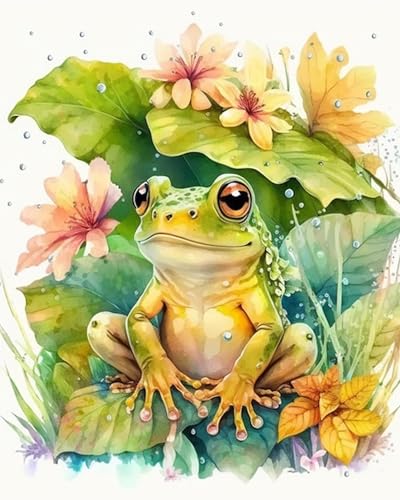 igoodom Frog Malen Nach Zahlen Erwachsene Frog Ölgemälde Kit für Anfänger und Erwachsene Tier Paint by Numbers Mit Leinwand Pinsels Acrylfarbe für Geschenk Home Wall Deko(40x50cm) von igoodom