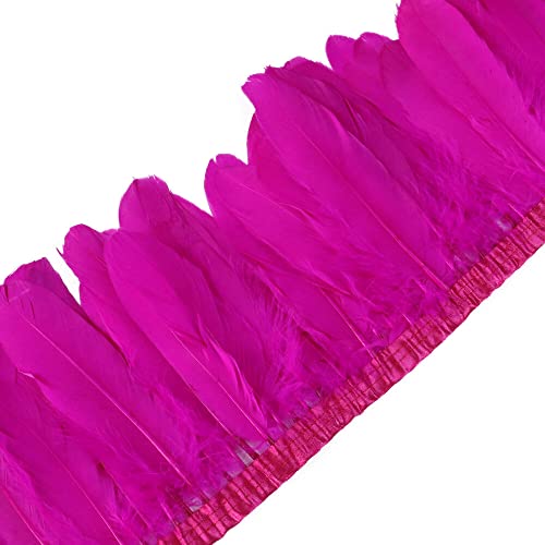 ihreesy Feder Fringe Trim Borte, 2m Federborte mit Satinband Federbesatz Feder Fransenbesatz Gänsefedern zum Basteln Federbesatz Fransen Flauschige Federfransen zum Nähen Kostüm Dekoration,Rote Rosa von ihreesy