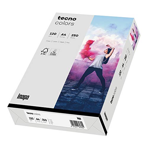 inapa farbiges Druckerpapier, buntes Papier tecno Colors: 120 g/m², A4, 250 Blatt, hellgrau von inapa