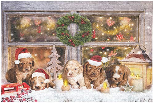 infactory LED Weihnachtsbilder: LED-Wandbild, Weihnachts-Hundewelpen-Motiv, 5 Flacker-LEDs, 60 x 40 cm (Bild, LED-Bilder Weihnachten Winter, Weihnachtsbeleuchtung) von infactory