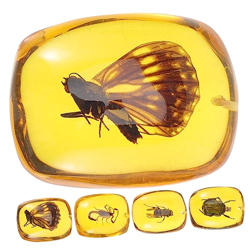 iplusmile 10 Stk Insektenproben-Anhänger schmuckherstellung Ohrringanhänger Schlüsselanhänger-Hängeornament DIY-Insektenmuster-Anhänger -Dekor Insekten Bernstein Armband-Anhänger Harz. von iplusmile