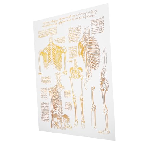 iplusmile Hängendes Gemälde eines menschlichen Skeletts Knochen Figuren Skelett-Requisite verbunden riesiges Skelett moderne wanddeko Anatomie-Poster Krankenhausdekor für die Wand Segeltuch von iplusmile