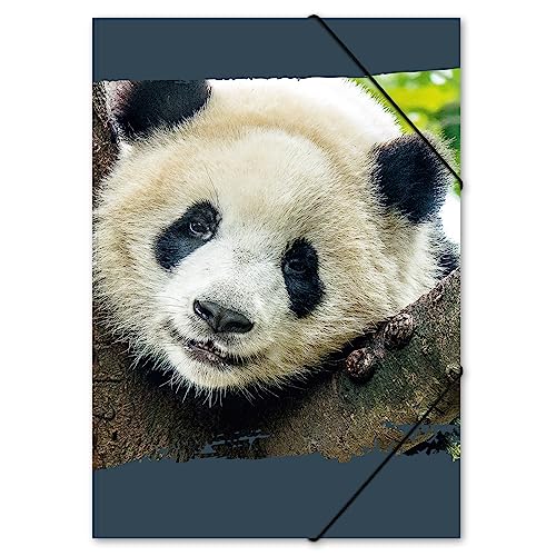 itenga Zeichenmappe DIN A3 mit Motiv - Gummizugmappe Sammelmappe - für Kinder Jugendliche Schüler Mädchen Jungen (Panda - A3) von itenga