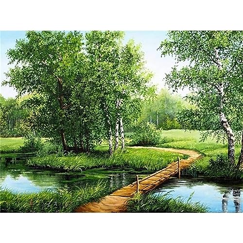 5D Diamond Painting Kits for Adults, Waldweg DIY Square Diamant Painting Bilder Kits Full Drill Crystal Art für Embroidery Number Painting Kits Kinder, Erwachsene, Wand Home Dekor 60x80cm W-1542 von lewwmn