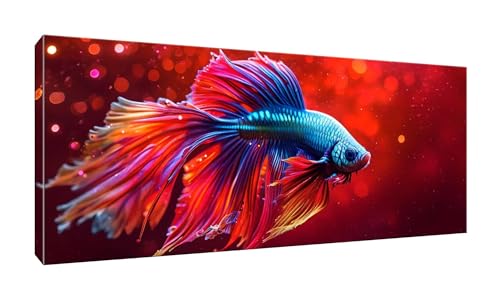 Malen Nach Zahlen Erwachsene, Betta Fisch, DIY Vorgedruckte Leinen Leinwand Anfänger Kinder Ölgemälde Kits, Home Haus Dekorieren Geschenk mit 3 Pinsel und Acrylpigment, 25x50cm (Ohne Rahmen) W-678 von lewwmn