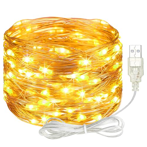 litogo Led Lichterkette mit USB, 5M 50LED Kupferdraht Lichterkette mit Stecker, Wasserdicht Weihnachten Lichterketten für Party, Garten, Hochzeit, Innen Außen Deko, Warmweiß von litogo