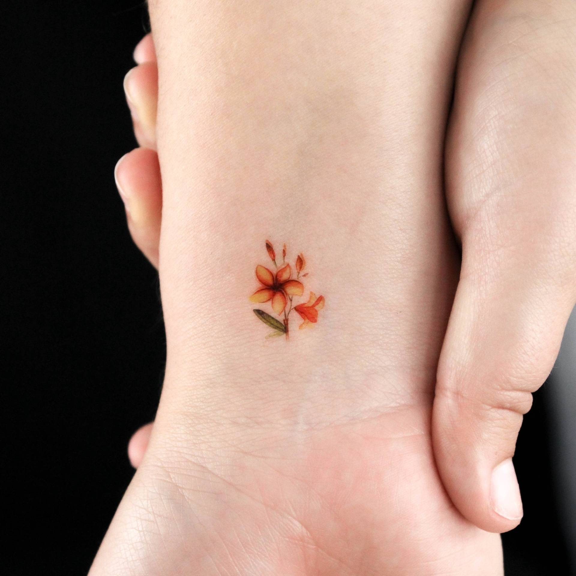 Kleines Aquarell Gelbes Frangipani Temporäres Tattoo | 3Er Set von littletattoos