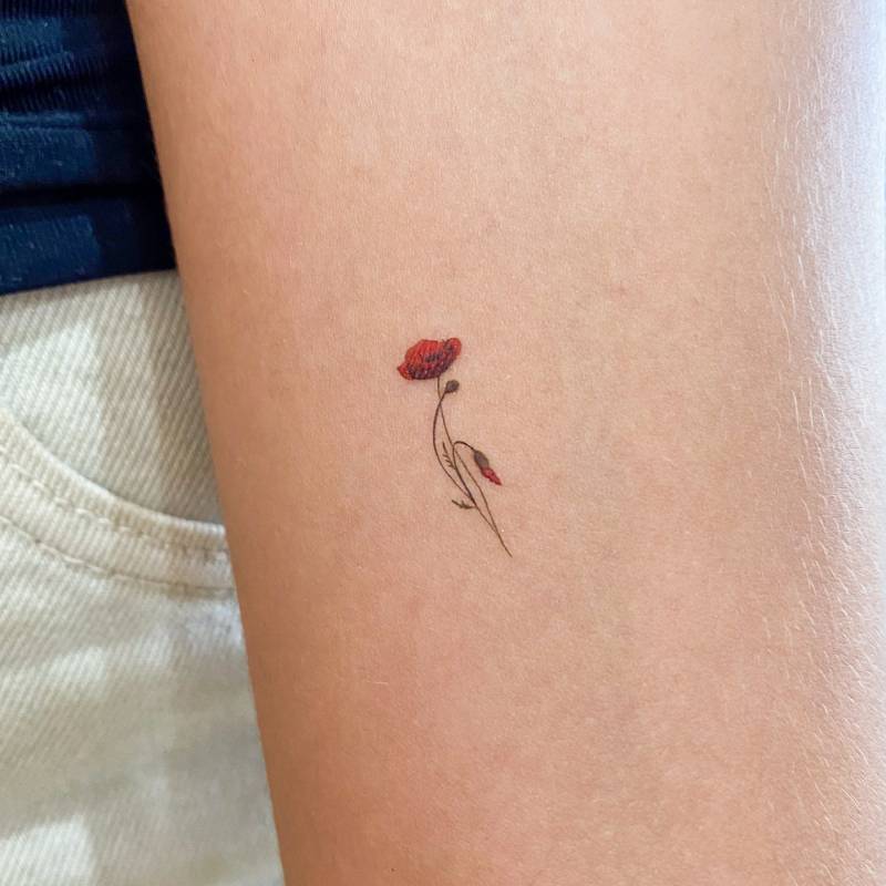 Kleines Aquarell Mohn Temporäres Tattoo | 3Er Set von littletattoos