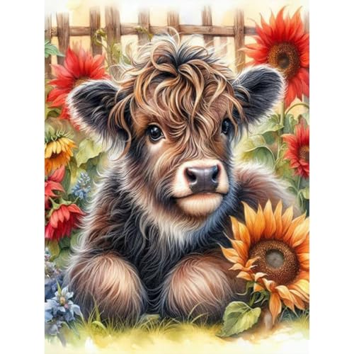 luckyarina Diamond Painting Erwachsene Hochlandkuh- Diamont Painting Tiere, Hochlandkuh 5D Diamond Painting Bild als Geschenk für Home Wand Décor30X40CM von luckyarina