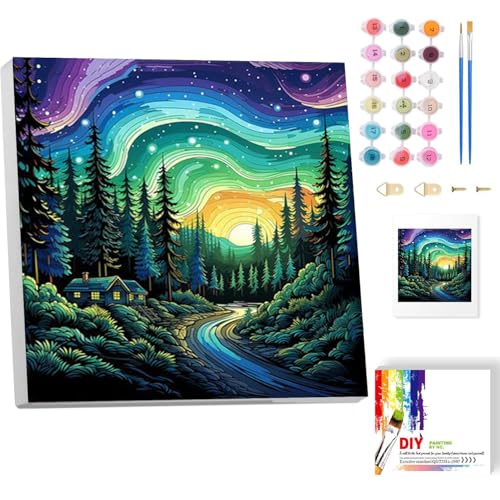 luckyarina Malen Nach Zahlen Erwachsene Mit Rahmen-Aurora Malen Nach Zahlen Erwachsene Leinwand,Landscape Paint by Numbers Adult Mit Geschenkbox Ülgemalde für Geschenk Home Wand Décor 20x20cm von luckyarina