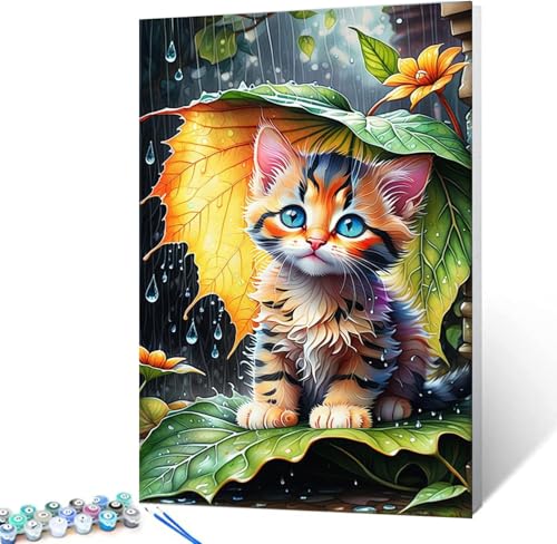 luckyarina Malen Nach Zahlen Kinder Mit Rahmen-Katze Malen Nach Zahlen Kinder Leinwand Ölgemälde,Tiere Paint by Numbers Mit Geschenkbox DIY ab 5 6 7 8 9 Jahre Mädchen Bastelset Geschenk 20x30cm von luckyarina