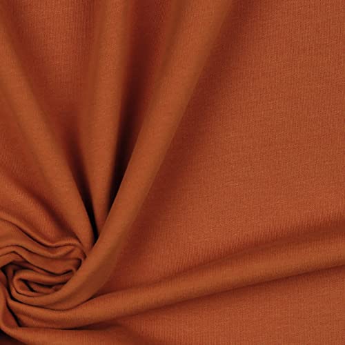 Softsweat Bio Organic ab 0,5m Sweatstoff Soft-Sweat Stoff Baumwolle Oeko-Tex 59 Farben, Farbe:023 - terracotta von maDDma