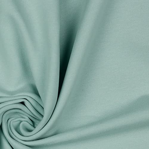 Softsweat Bio Organic ab 0,5m Sweatstoff Soft-Sweat Stoff Baumwolle Oeko-Tex 59 Farben, Farbe:065 - pastellblau von maDDma