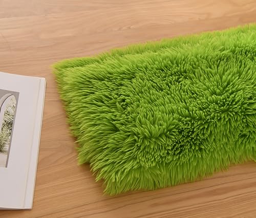 Kunstpelzstoff,100cm X 160cm Kunstfell Zum Basteln,faux Fur Fabric,plüschstoff, Vorgeschnittener Kunstpelzstoff Für Kostüme, Teppiche, Kissen, Nähen, Dekorationen (Grasgrün) von maileiduo