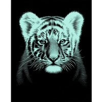 Kratzbild "Tigerbaby" von Schwarz