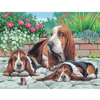 Malen nach Zahlen "Bassethunde" von mammut