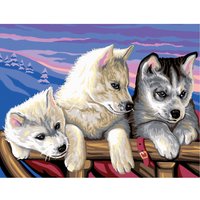 Malen nach Zahlen "Huskies" von mammut