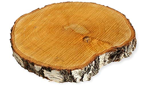 Große Holzscheibe zum Basteln oder Dekorieren - 1 Stück naturbelassene Baumscheibe aus Birkenholz mit 30 - 35 cm Durchmesser - runde Holz Birkenscheibe als Deko Holzplatte Holzdeko von matches21 HOME & HOBBY