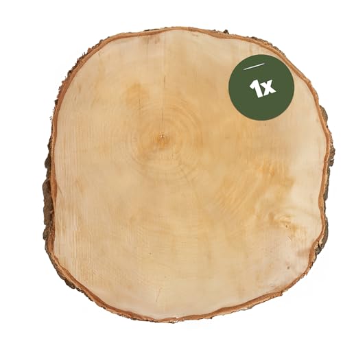 Große Holzscheibe zum Basteln oder Dekorieren - 1 Stück naturbelassene Baumscheibe ca. 50 cm (48-52 cm) Durchmesser aus Birkenholz - runde Holz Birkenscheiben als Holzdeko Holzplatten von matches21 HOME & HOBBY