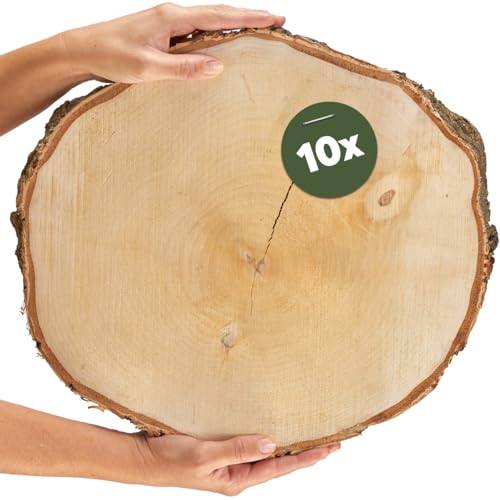 Große Holzscheiben in 40 cm (38-44cm) Durchmesser für DIY Basteln und Dekorieren - 10 Stück runde Birkenholz Baumscheiben - Naturbelassene Holz Birkenscheiben als Holzdeko Holzplatten von matches21 HOME & HOBBY