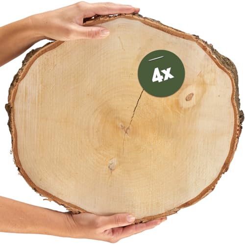 Große Holzscheiben in 40 cm (38-44cm) Durchmesser für DIY Basteln und Dekorieren - 4 Stück runde Birkenholz Baumscheiben - Naturbelassene Holz Birkenscheiben als Holzdeko Holzplatten von matches21 HOME & HOBBY