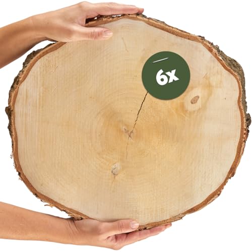 Große Holzscheiben in 40 cm (38-44cm) Durchmesser für DIY Basteln und Dekorieren - 6 Stück runde Birkenholz Baumscheiben - Naturbelassene Holz Birkenscheiben als Holzdeko Holzplatten von matches21 HOME & HOBBY