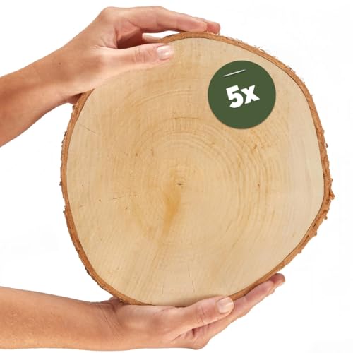 Große Holzscheiben zum Basteln oder Dekorieren - 5 Stück naturbelassene Baumscheiben ca. 25 cm (23-27 cm) Durchmesser aus Birkenholz - runde Holz Birkenscheiben als Holzdeko Holzplatten von matches21 HOME & HOBBY