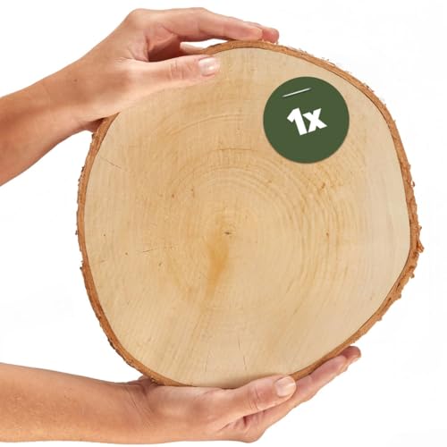 Holzscheibe in 25 cm (23-27cm) Durchmesser für DIY Basteln und Dekorieren - 1 Stück runde Birkenholz Baumscheibe - Naturbelassene Holz Birkenscheibe als Holzdeko Holzplatten von matches21 HOME & HOBBY