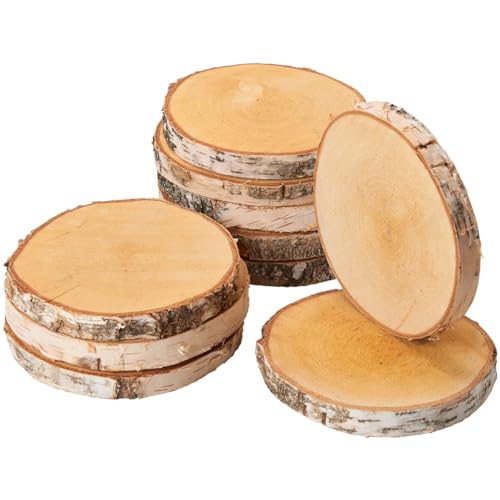 Holzscheiben zum Basteln oder Dekorieren - 10 Stück naturbelassene Baumscheiben mit 16-18 cm Durchmesser aus Birkenholz - runde Holz Birkenscheiben als Holzdeko Holzplatten von matches21 HOME & HOBBY