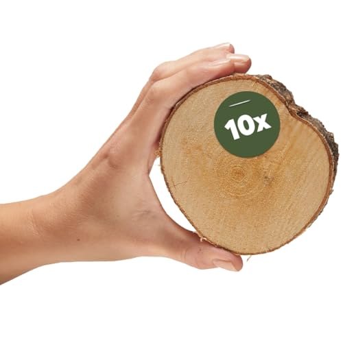 Kleine Holzscheiben zum Basteln oder Dekorieren - 10 Stück naturbelassene Mini baum-scheiben mit 8-10cm Durchmesser aus birken-holz - runde Holz Birkenscheiben als Holzdeko Holzplatten von matches21 HOME & HOBBY