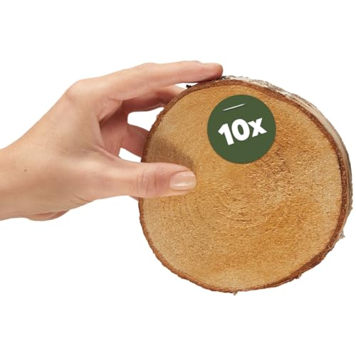 Kleine Holzscheiben zum Basteln oder Dekorieren - 10 Stück naturbelassene baum-scheiben mit 12cm - 14cm Durchmesser aus birken-holz - runde Holz Birkenscheiben als Holzdeko Holzplatten von matches21 HOME & HOBBY