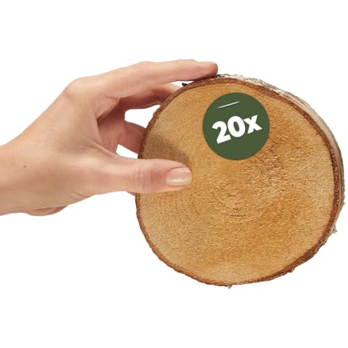 Kleine Holzscheiben zum Basteln oder Dekorieren - 20 Stück naturbelassene baum-scheiben mit 12cm - 14cm Durchmesser aus birken-holz - runde Holz Birkenscheiben als Holzdeko Holzplatten von matches21 HOME & HOBBY