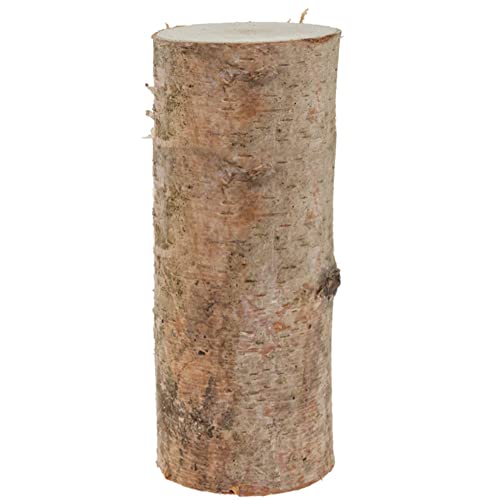 matches21 Birkenstämmchen Baumstamm gerader Schnitt - Holzstamm Naturmaterial DIY Bastelmaterial - je 1 Stk. 12 x 30 cm von matches21 HOME & HOBBY