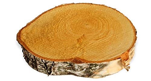 matches21 HOME & HOBBY Holzscheibe zum Basteln oder Dekorieren - 1 Stück naturbelassene Baumscheibe aus Birkenholz mit 15-20 cm Durchmesser - runde Holz Birkenscheibe als Deko Holzplatte Holzdeko von matches21 HOME & HOBBY