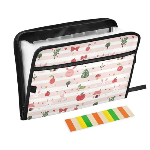 Ordner für die Schule, 13 Taschen, A4, Briefformat, mit Reißverschluss, für Business, Cartoon, niedliches Blush Stripe Expando von miaozhen