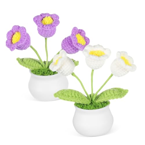 minkissy 2 Stück Maiglöckchen-Blumenornamente Häkelblüten drinnen gehäkelte Tulpen gehäkelte Blumenverzierung Häkelblume Büro gehäkelte Blume Desktop-Ornament handgeflochtener Bonsai Garn minkissy 2 Stück Maiglöckchen-Blumenornamente Häkelblüten drinnen gehäkelte Tulpen gehäkelte Blumenverzierung Häkelblume Büro gehäkelte Blume Desktop-Ornament handgeflochtener Bonsai Garn von minkissy