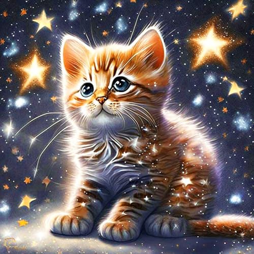 mrpwnle Cat 5D Diamond Painting Set DIY Diamant Painting Bilder Mosaikherstellung Diamond-Painting Erwachsene Malen Nach Zahlen Home Wall Decor 35 X 35 cm von mrpwnle