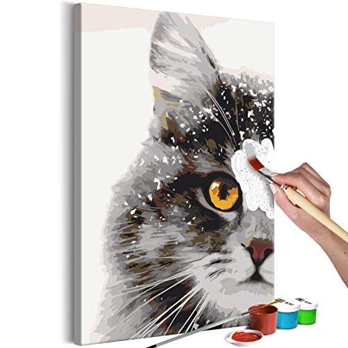 murando - Malen nach Zahlen gelbäugige Katze Gesicht Porträt 40x60 cm Malset mit Holzrahmen auf Leinwand für Erwachsene Kinder Gemälde Handgemalt Kit DIY Geschenk Dekoration von murando