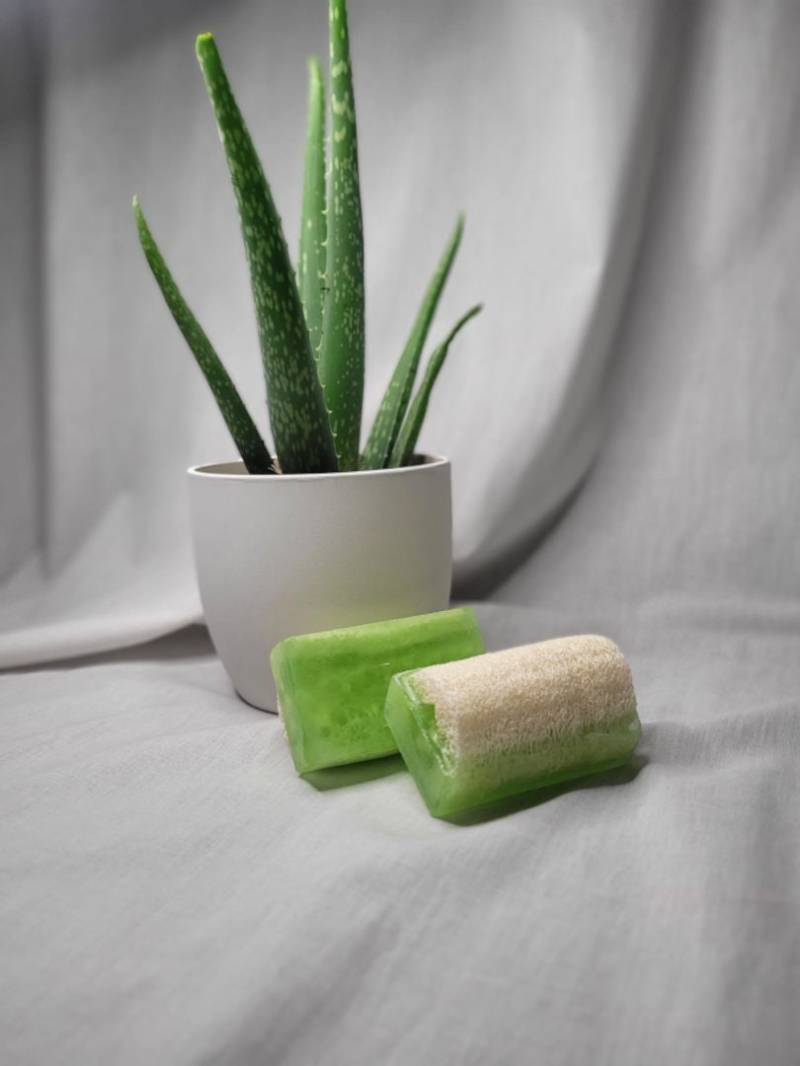 Handgemachte Aloe Vera Luffa Seife - Feuchtigkeitsspendend Und Für Alle Hauttypen Geeignet von natureSuna