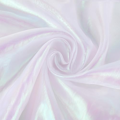 NBEADS 3m Organza-Stoff, 1.5m Breiter Solider Organza-Stoff für Brautkleider Magischer Gradient Organza Polyester Stoff Schillernder Holographischer Gaze-Stoff für Kleid Performance Bühne, Schnee von nbeads