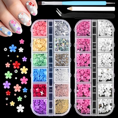 Oruola 3D Blume für Nägel,2 Boxen 3D Nagel Art Charm,3D Blume Nagel Charms Glitzer Edelstein Dekorations Rhinestones Perlen Nagel Dekorationen mit Pickup & Dotting Tools,Nagelschmuck für Gelnägel von oruola