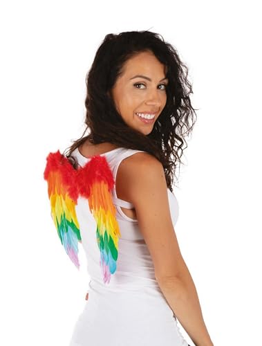 P'tit Clown Ailes d'ange plumes-40 x 32 cm-arc-en-ciel Flügel, Regenbogenfarben, 40 x 32 von p'tit clown