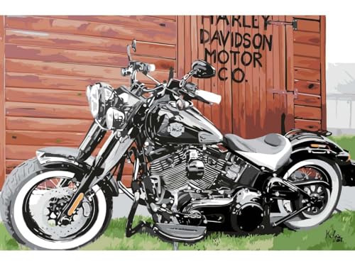 painteree DIY set | Malen nach Zahlen erwachsene | Harley-Davidson Softail Slim von Kolja (40x60 cm) | Eingerahmt auf einem Holzrahmen mit Pinsel und Acrylfarben Set von painteree