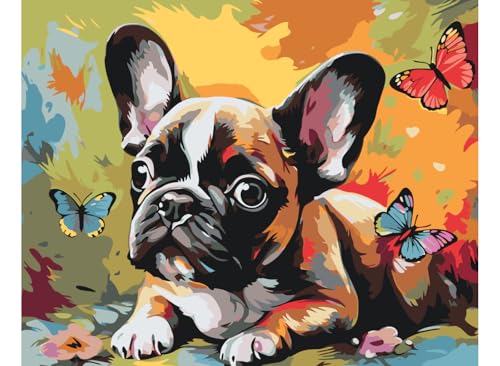 painteree DIY set | Malen nach Zahlen erwachsene | Welpe der französischen Bulldogge (40x50 cm) | Eingerahmt auf einem Holzrahmen mit Pinsel und Acrylfarben Set von painteree