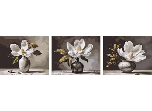 painteree DIY set | Malen nach Zahlen erwachsene | süße Magnolie von Pieter Wagemans Kollektion (drei Bilder) (40x50 cm) | Eingerahmt auf einem Holzrahmen mit Pinsel und Acrylfarben Set von painteree